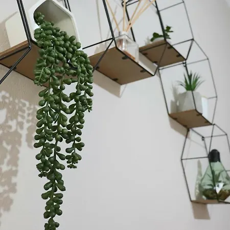 公寓 6th Parodos Ioanni Theotoki 20