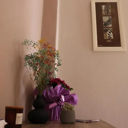 公寓 6th Parodos Ioanni Theotoki 20